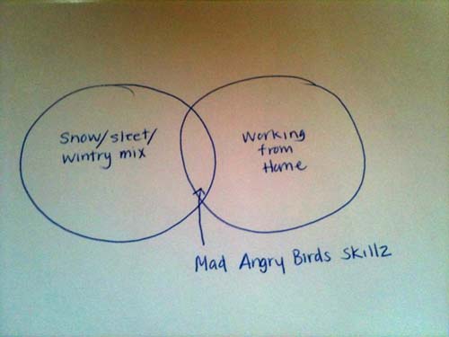 Venn diagram: wintry mix, working from home